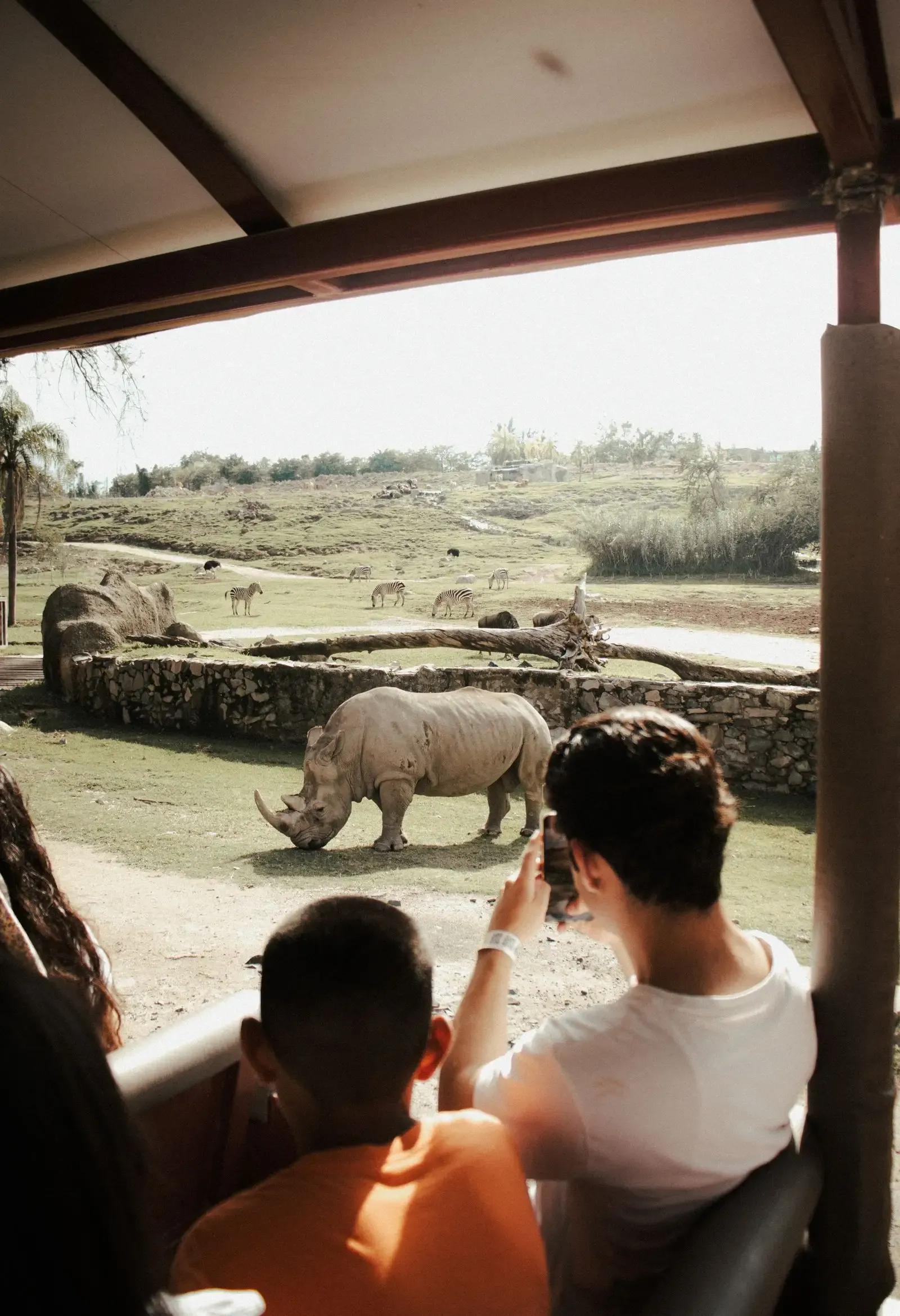 Passengers in a roofed, open-sided safari vehicle watching a rhino on grassland