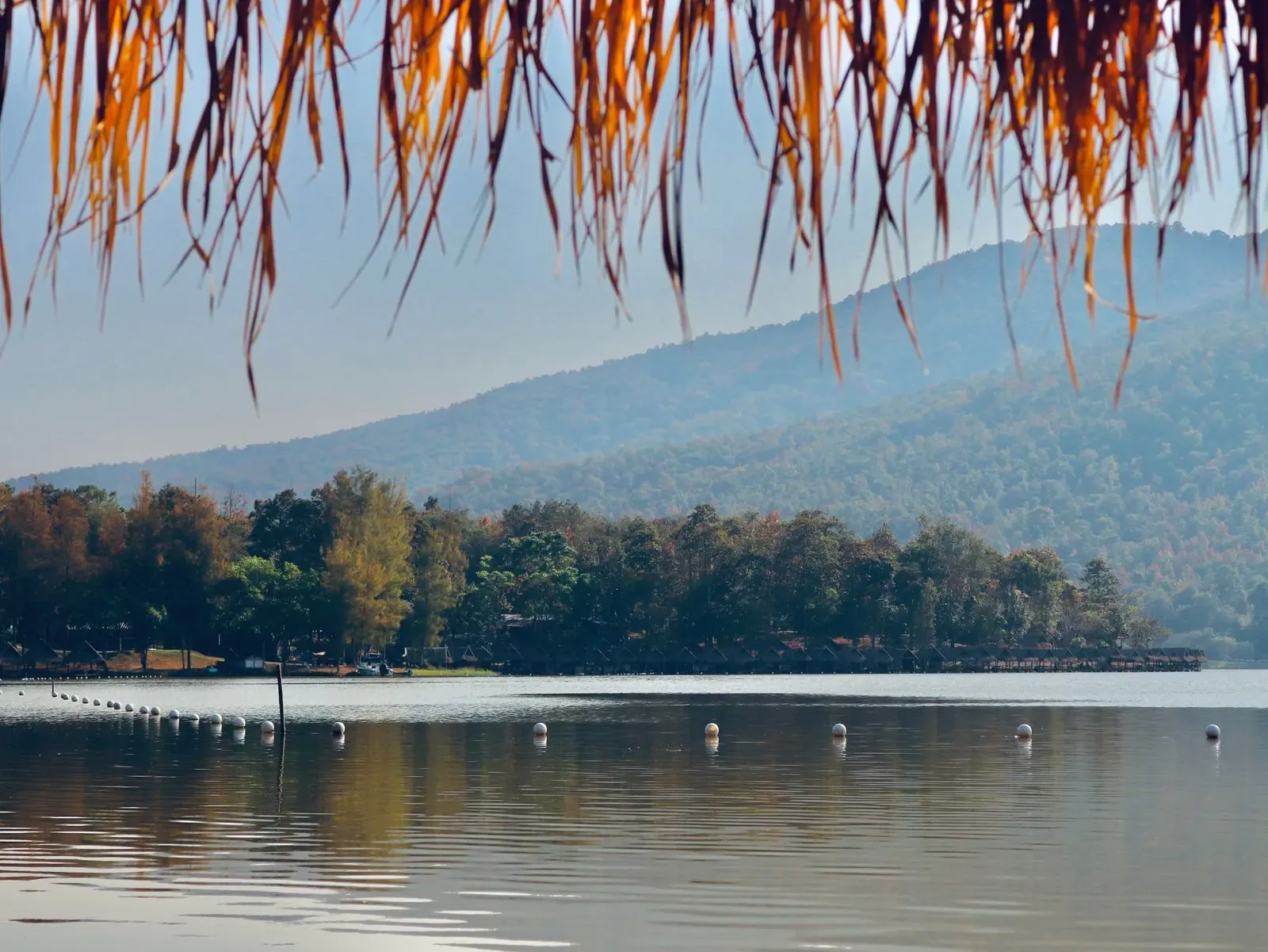 A calm lake and forested mountain seen from under a thatched hut roof