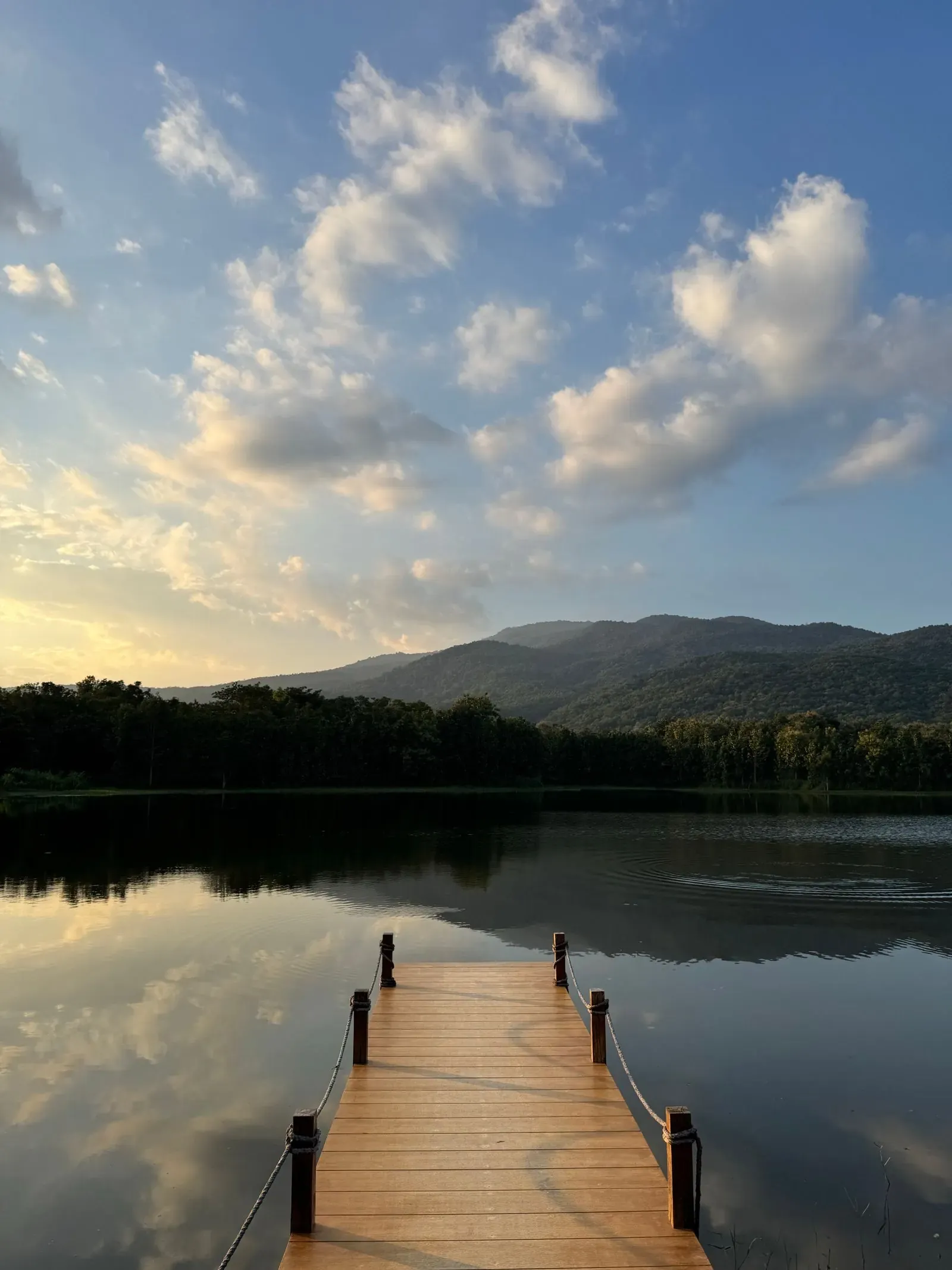 A wooden jetty on a lake at sunset