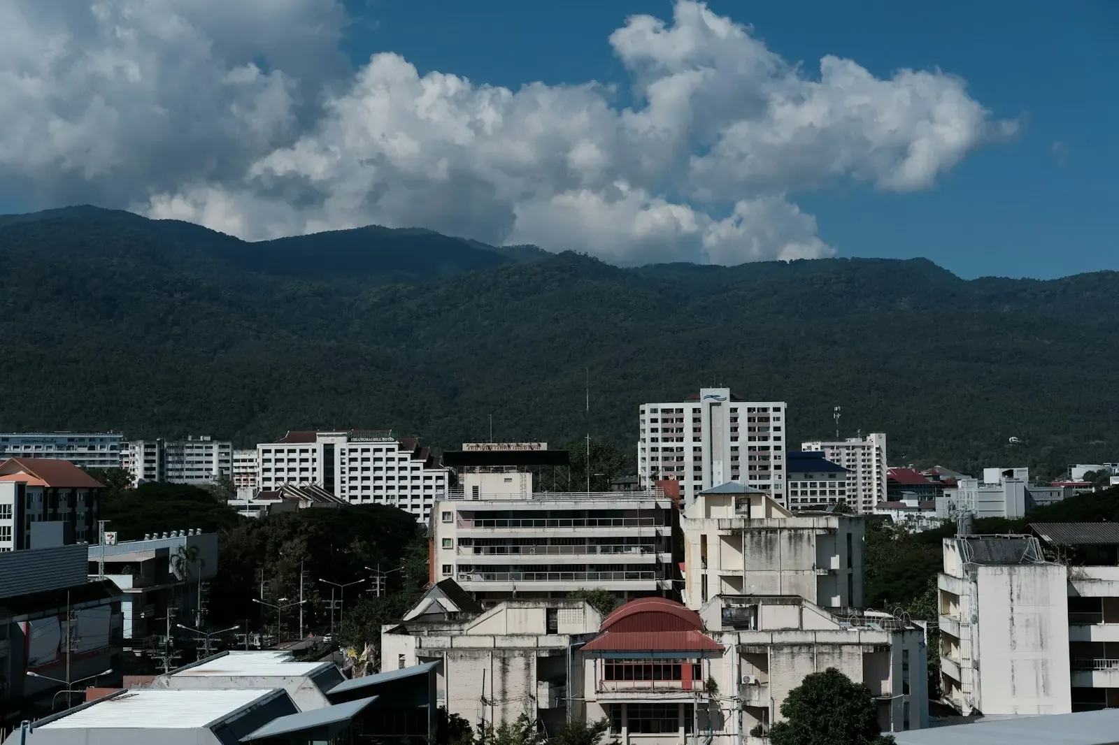 ตึกในตัวเมืองเชียงใหม่ มีภูเขาป่าเขียวอยู่ด้านหลัง