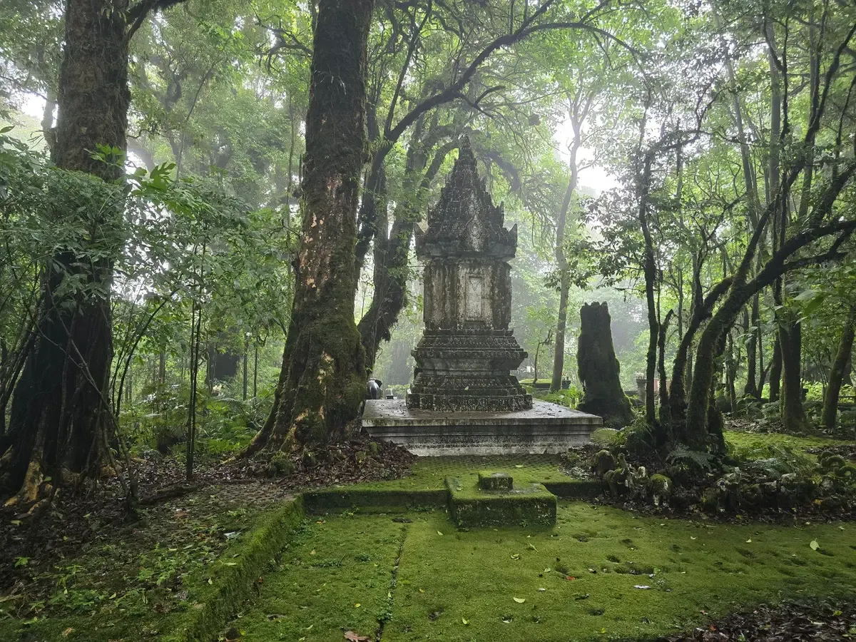 A small stupa in misty, moss-covered forest in Doi Inthanon National Park