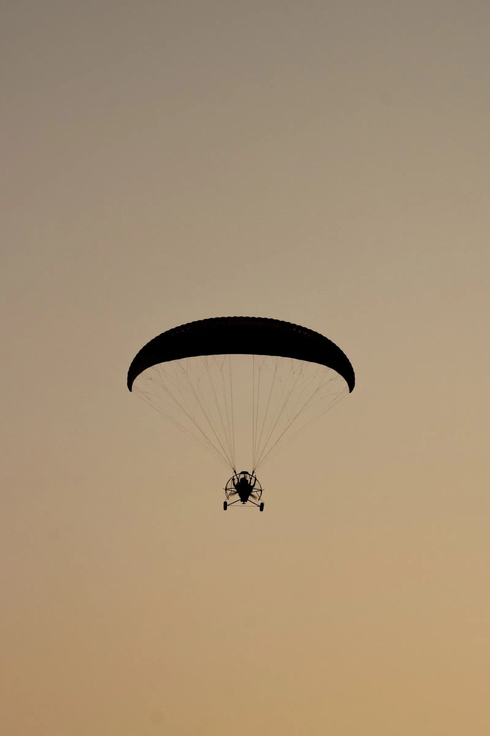 A paramotor silhouette against a sunset sky