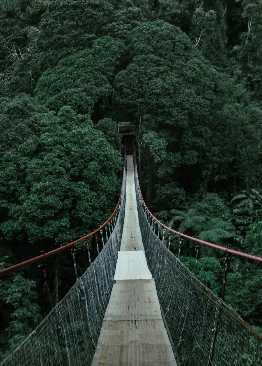 สะพานแขวนยาวเหนือยอดไม้